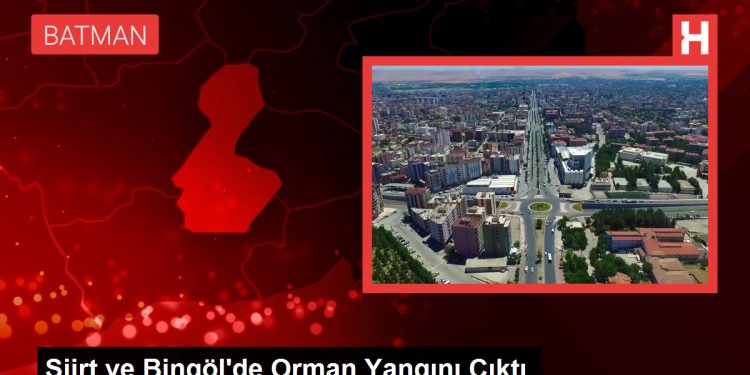 Siirt ve Bingöl’de Orman Yangını Çıktı